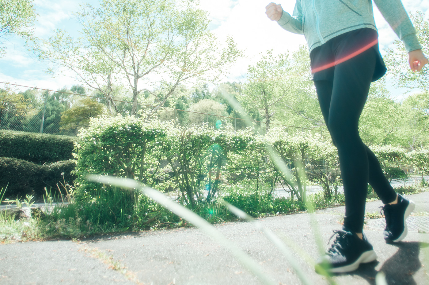 基本的な1日の流れ画像