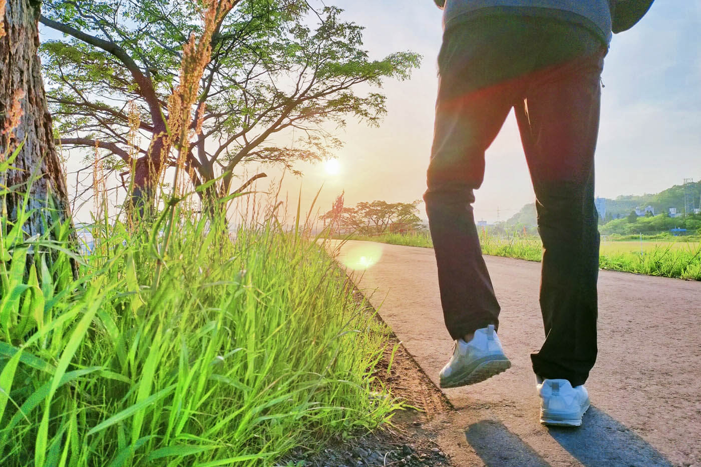 基本的な1日の流れ画像