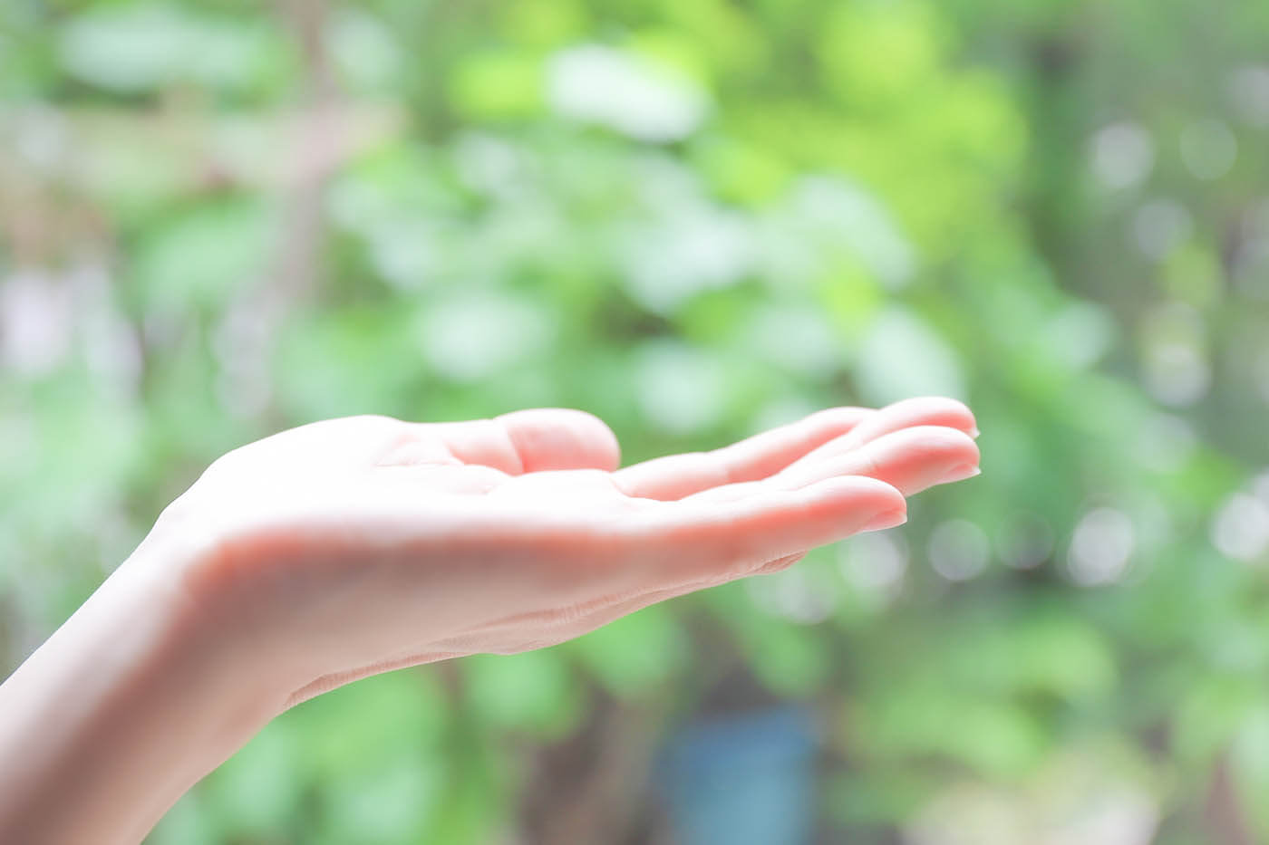 基本的な1日の流れ画像